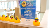 2022 Duck Pluck